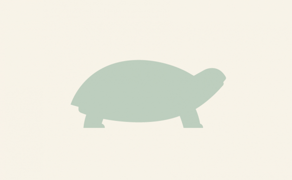 Ratsastussukat 39-43 ryhm�ss� Agria Shop / Tuotteet /  Vaatteet @ AgriaShop (2470)