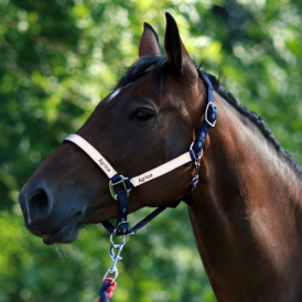 Heijastava riimu sininen