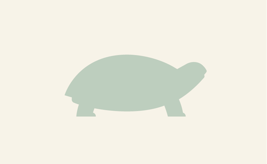 Heijastimet hevosen jalkoihin, 4 kpl pakkaus