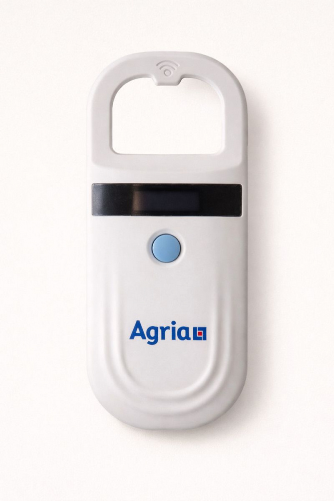 Sirulukija Koira & Kissa